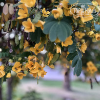 фото из отзыва ID 2684205