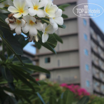 фото из отзыва ID 2684216