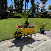 фото из отзыва ID 2684235