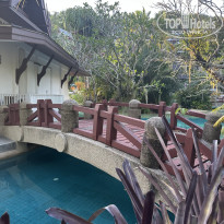 фото из отзыва ID 2684277