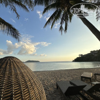 фото из отзыва ID 2684277