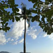 фото из отзыва ID 2684277