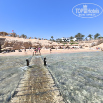 фото из отзыва ID 2684314