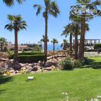 фото из отзыва ID 2684314