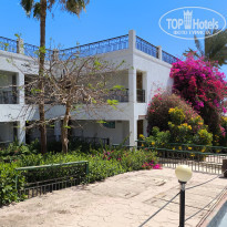 фото из отзыва ID 2684314