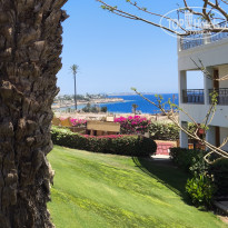 фото из отзыва ID 2684314