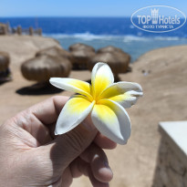 фото из отзыва ID 2684314