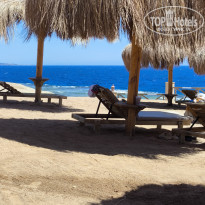 фото из отзыва ID 2684314