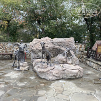 фото из отзыва ID 2684356