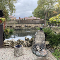 фото из отзыва ID 2684356