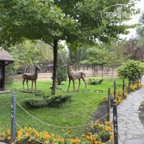 фото из отзыва ID 2684356