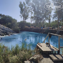 фото из отзыва ID 2684395