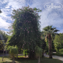 фото из отзыва ID 2684395