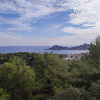 фото из отзыва ID 2684395