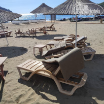 фото из отзыва ID 2684395