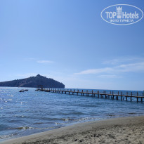 фото из отзыва ID 2684395