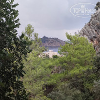 фото из отзыва ID 2684395