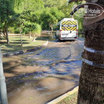 фото из отзыва ID 2684395