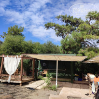 фото из отзыва ID 2684395