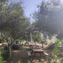 фото из отзыва ID 2684395