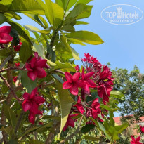 фото из отзыва ID 2684402