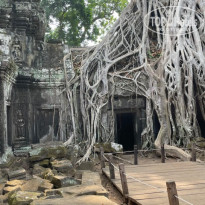 фото из отзыва ID 2684402