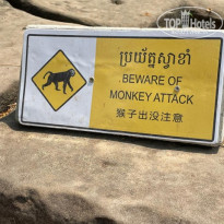 фото из отзыва ID 2684402