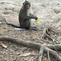 фото из отзыва ID 2684402