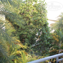 фото из отзыва ID 2684402