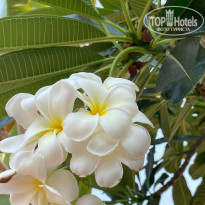 фото из отзыва ID 2684402