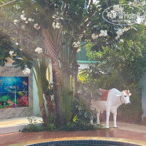 фото из отзыва ID 2684402