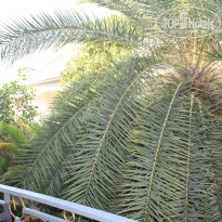 фото из отзыва ID 2684402