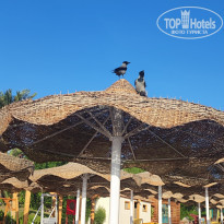 фото из отзыва ID 2684461