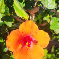 фото из отзыва ID 2684461