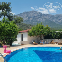 фото из отзыва ID 2684510