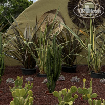 фото из отзыва ID 2684527