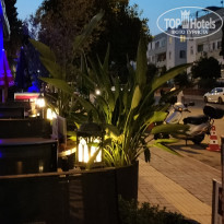 фото из отзыва ID 2684577