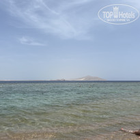 фото из отзыва ID 2684592