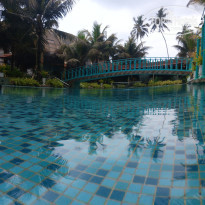 фото из отзыва ID 2684674