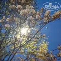 фото из отзыва ID 2684689