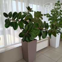 фото из отзыва ID 2684689