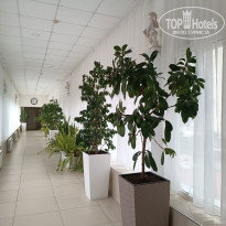 фото из отзыва ID 2684689