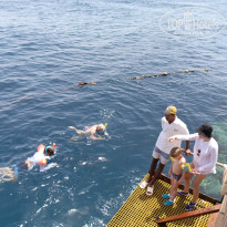 фото из отзыва ID 2684685