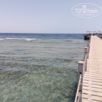 фото из отзыва ID 2684685