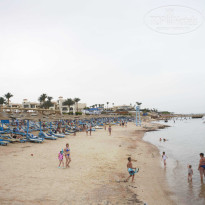 фото из отзыва ID 2684685