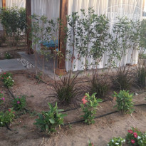 фото из отзыва ID 2683590