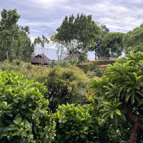 фото из отзыва ID 2684705