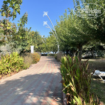 фото из отзыва ID 2684771