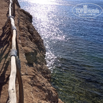 фото из отзыва ID 2684854