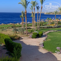 фото из отзыва ID 2684854